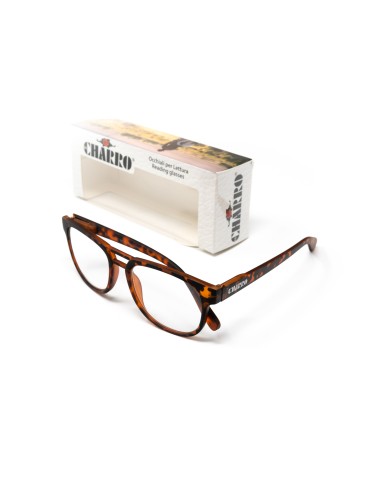 Kentucky - Kit of 24 Reading Glasses
