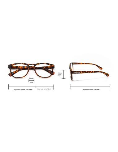 Kentucky - Kit of 24 Reading Glasses