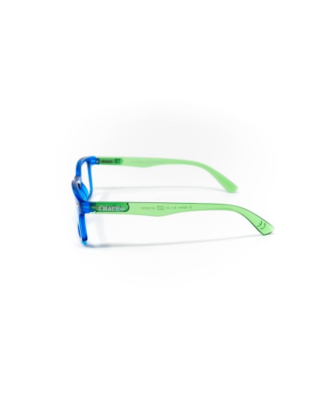 Nebraska - Kit of 24 Reading Glasses