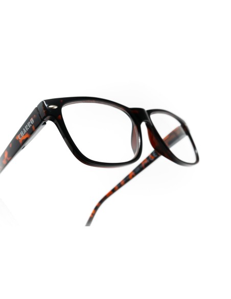 Minnesota - Kit of 24 Reading Glasses