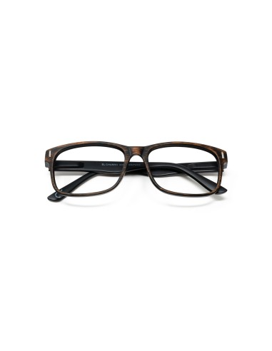 Montana - Kit of 24 Reading Glasses Montana - Kit of 24 Reading Glasses