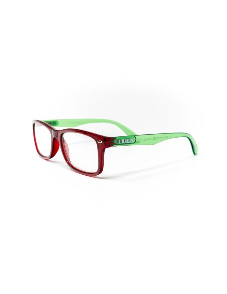 Nebraska - Kit of 24 Reading Glasses