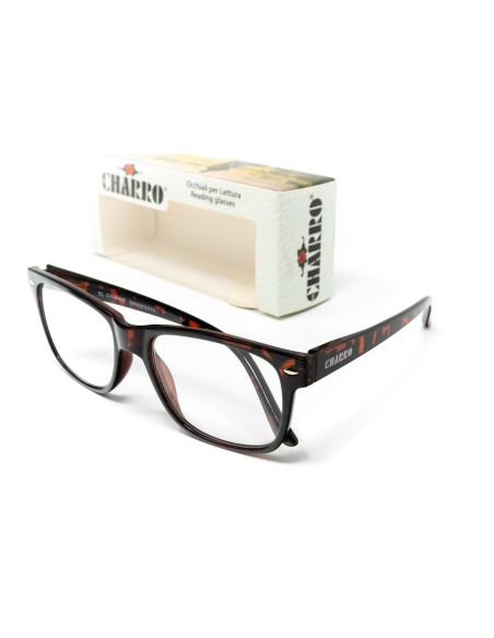 Minnesota - Kit of 24 Reading Glasses