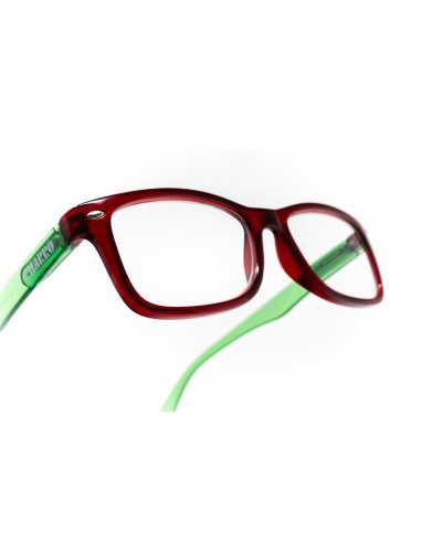 Nebraska - Kit of 24 Reading Glasses