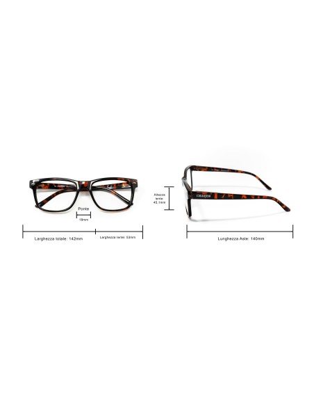 Minnesota - Kit of 24 Reading Glasses