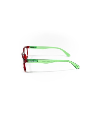 Nebraska - Kit of 24 Reading Glasses