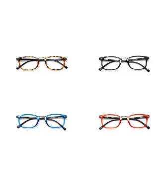 Ohio - Kit of 24 Reading Glasses