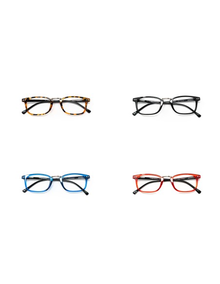 Ohio - Kit of 24 Reading Glasses