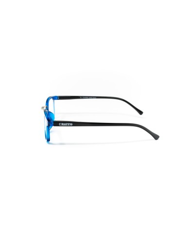 Ohio - Kit of 24 Reading Glasses