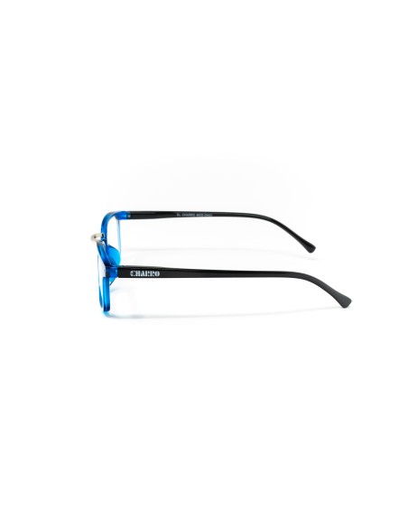 Ohio - Kit of 24 Reading Glasses