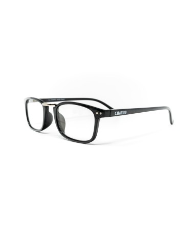 Ohio - Kit of 24 Reading Glasses