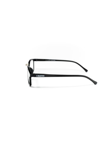 Ohio - Kit of 24 Reading Glasses