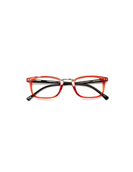 Ohio - Kit of 24 Reading Glasses