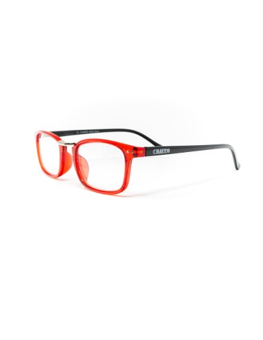 Ohio - Kit of 24 Reading Glasses