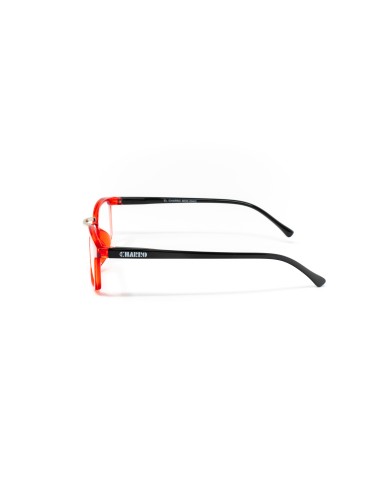Ohio - Kit of 24 Reading Glasses