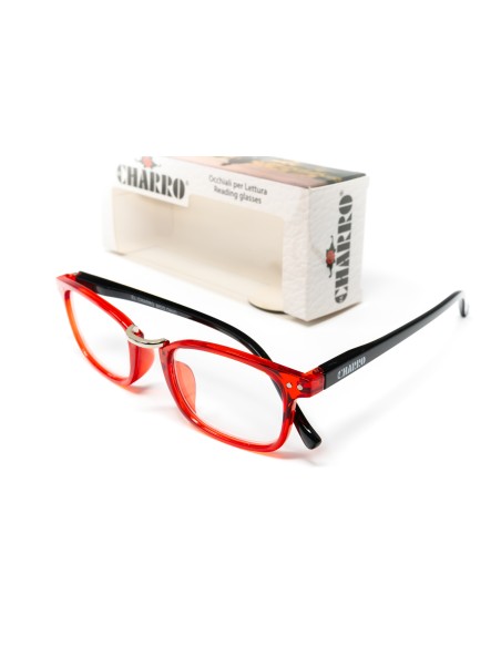 Ohio - Kit of 24 Reading Glasses