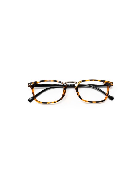 Ohio - Kit of 24 Reading Glasses