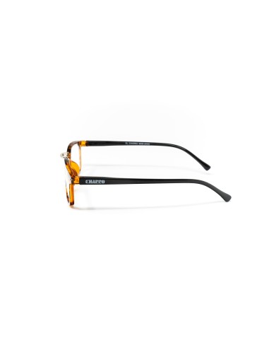 Ohio - Kit of 24 Reading Glasses