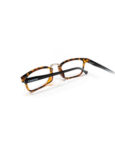 Ohio - Kit of 24 Reading Glasses