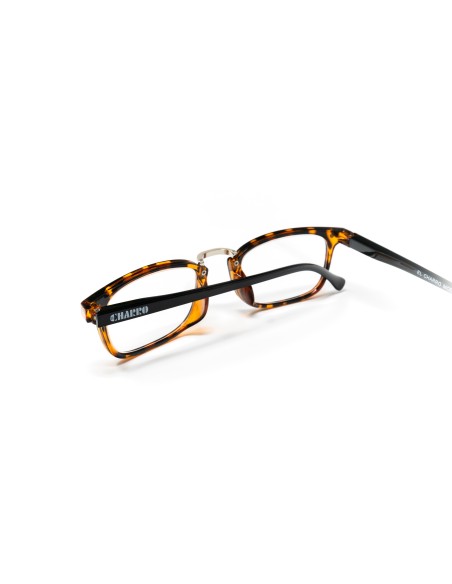 Ohio - Kit of 24 Reading Glasses