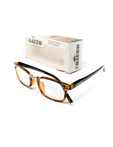 Ohio - Kit of 24 Reading Glasses