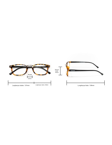 Ohio - Kit of 24 Reading Glasses