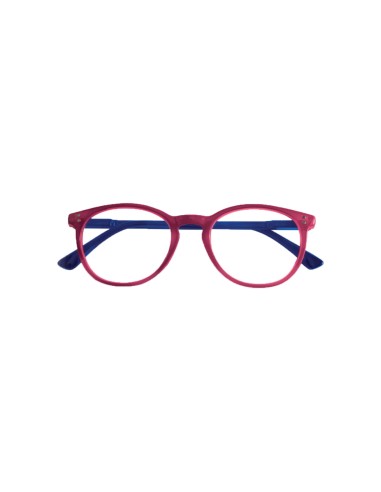 Pennsylvania - Kit of 24 Reading Glasses Pennsylvania - Kit of 24 Reading Glasses