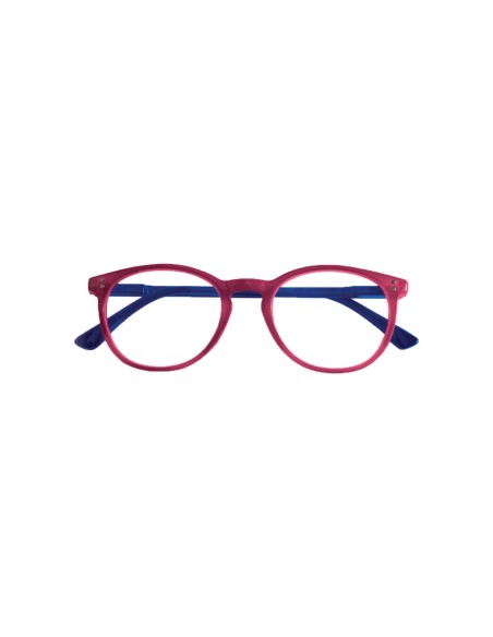 Pennsylvania - Kit of 24 Reading Glasses