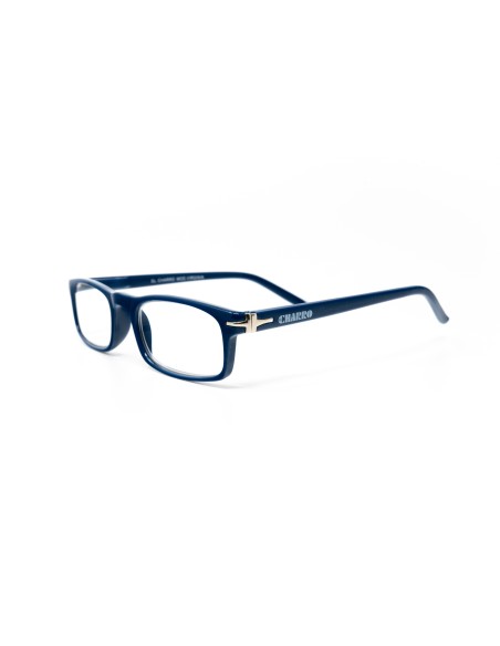 Virginia - Kit of 24 Reading Glasses