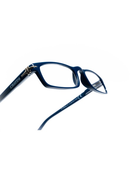 Virginia - Kit of 24 Reading Glasses