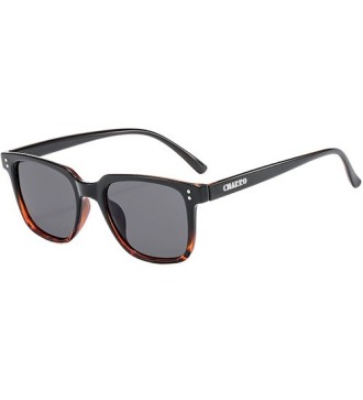 Monterey - Kit of 8 Polarized Sunglasses 2