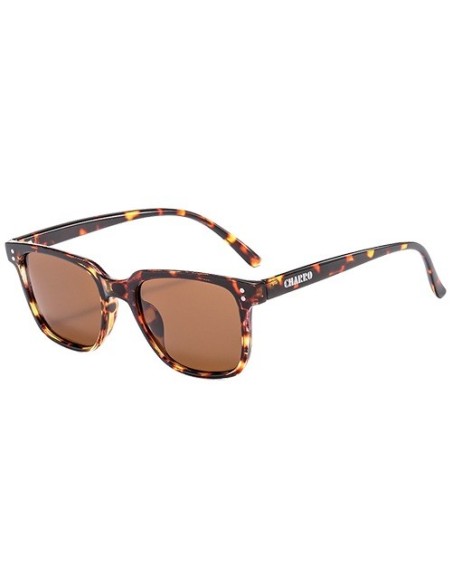 Monterey - Kit of 8 Polarized Sunglasses