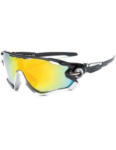 Performance - Kit da 8 Occhiali da Sole Polarizzati Performance - Kit da 8 Occhiali da Sole Polarizzati