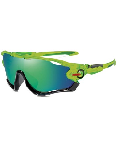 Performance - Kit of 8 Polarized Sunglasses