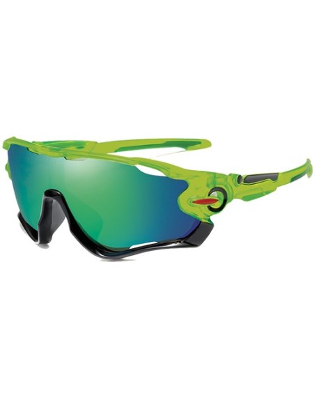 Performance - Kit of 8 Polarized Sunglasses