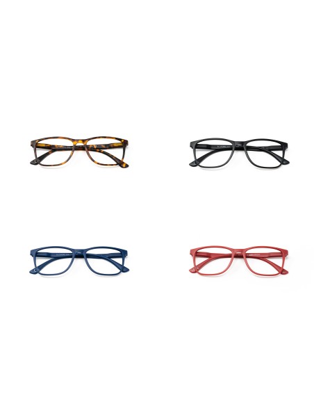 Vermont - Kit of 28 Blue Block Reading Glasses