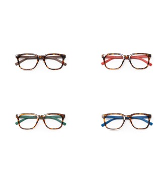 Maryland - Kit of 24 Reading Glasses