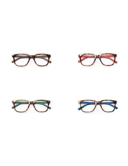 Maryland - Kit of 24 Reading Glasses