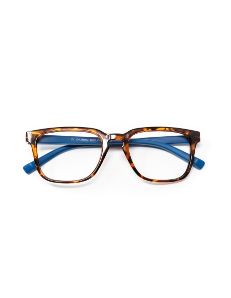 Maryland - Kit of 24 Reading Glasses