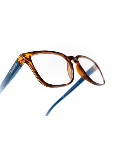 Maryland - Kit of 24 Reading Glasses