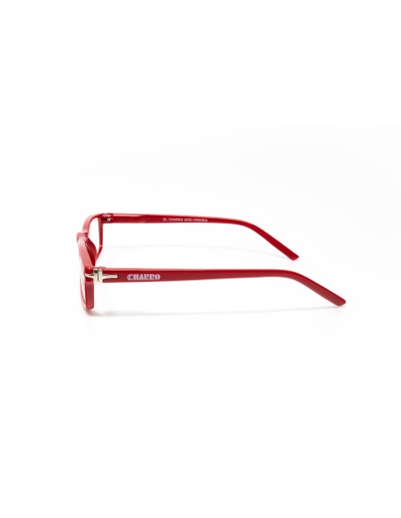 Virginia - Kit of 24 Reading Glasses