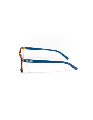 Maryland - Kit of 24 Reading Glasses
