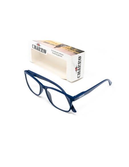 Vermont - Kit of 28 Blue Block Reading Glasses