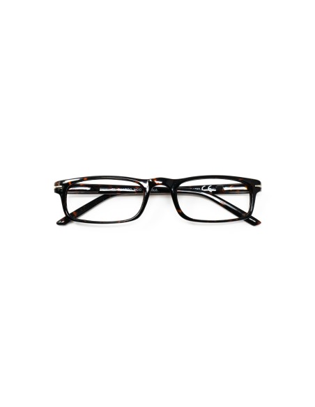 Virginia - Kit of 24 Reading Glasses