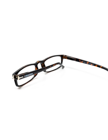 Virginia - Kit of 24 Reading Glasses