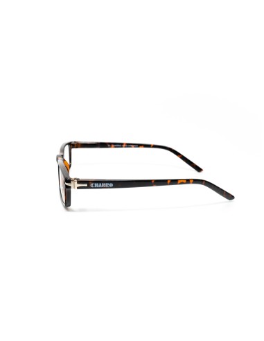 Virginia - Kit of 24 Reading Glasses Virginia - Kit of 24 Reading Glasses