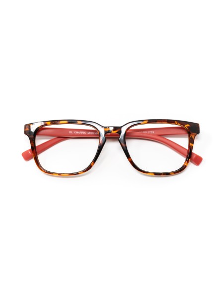 Maryland - Kit of 24 Reading Glasses