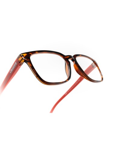 Maryland - Kit of 24 Reading Glasses