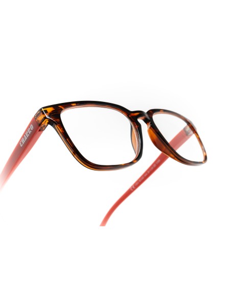 Maryland - Kit of 24 Reading Glasses