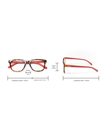 Maryland - Kit of 24 Reading Glasses